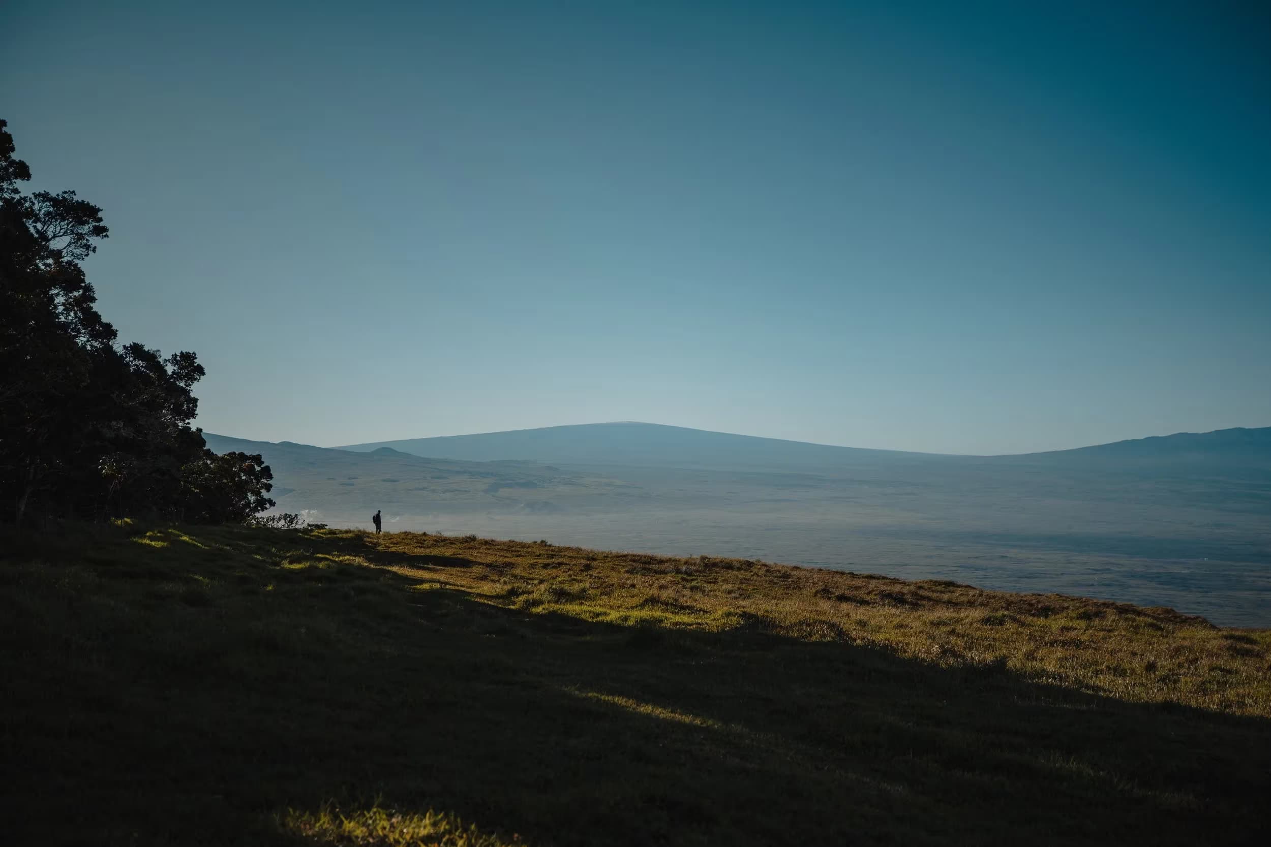 The Kohala Center's Hawaii Island sustainability and land stewardship programs in the field