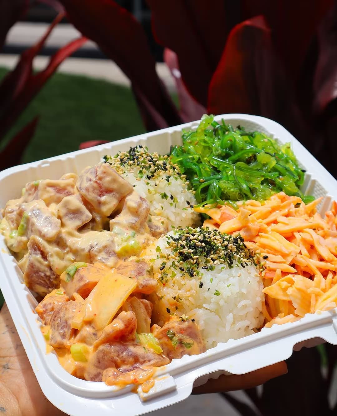 A takeout poke bowl with furikake rice, seaweed salad, and fresh ahi at Umeke's