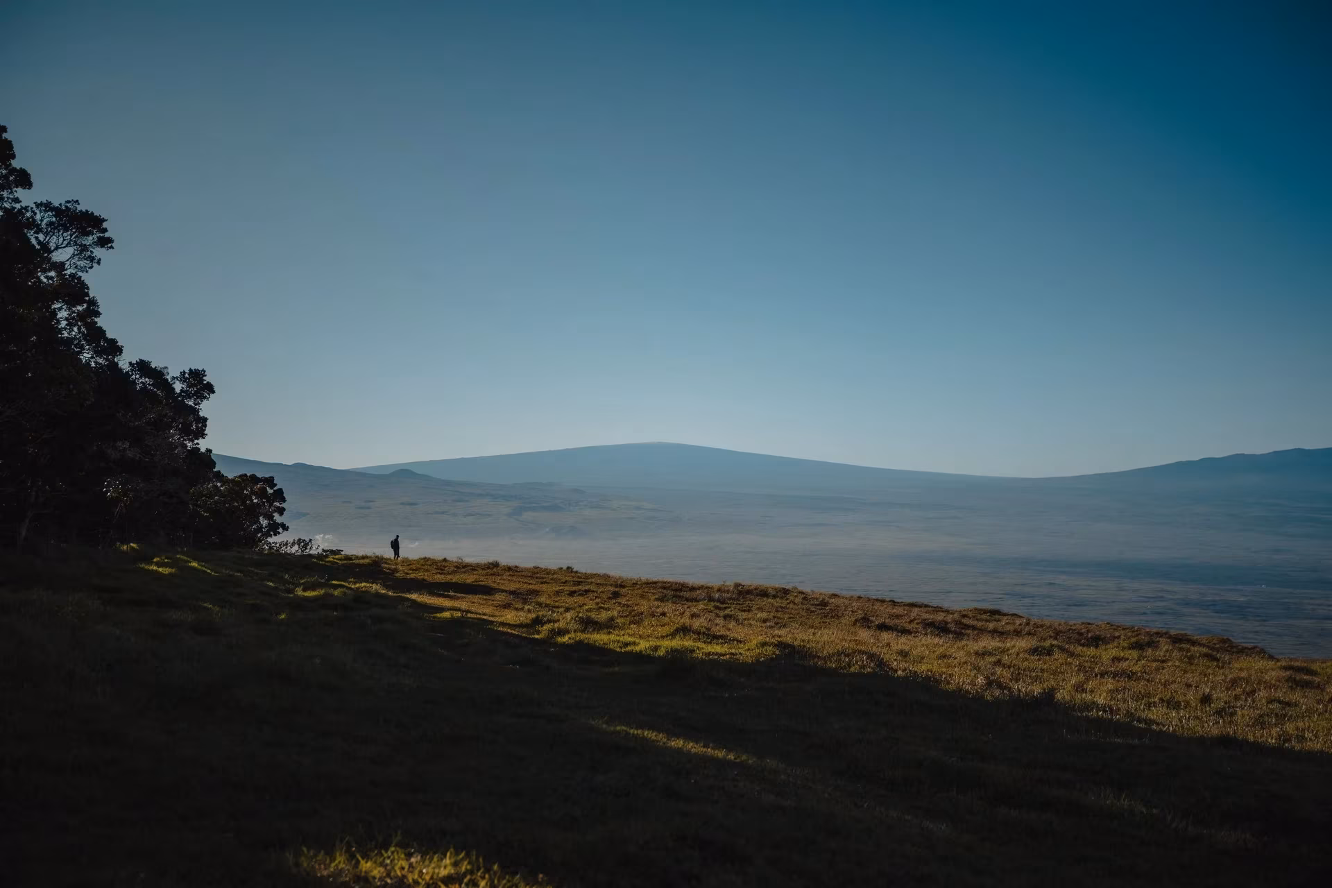The Kohala Center's Hawaii Island sustainability and land stewardship programs in the field